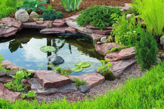 Backyard Pond Ideas - Design Your Perfect Water Feature